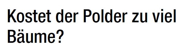 BNN_2024-06-03_Polder.pdf